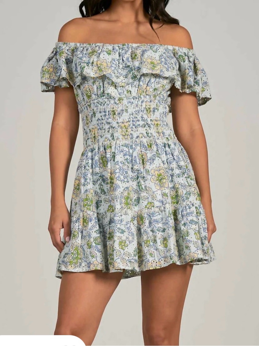 Elan Off-Shoulder Blue & Green Floral Smocked Mini Dress